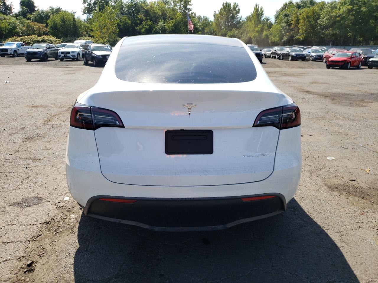 2023 Tesla Model Y VIN: 7SAYGDEE2PF757572 Lot: 70364304