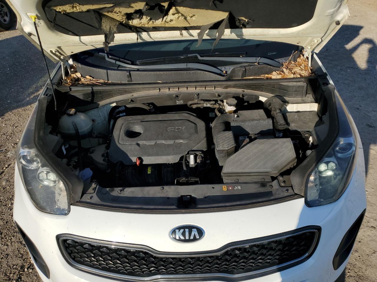 KNDPM3AC0H7186607 2017 Kia Sportage Lx