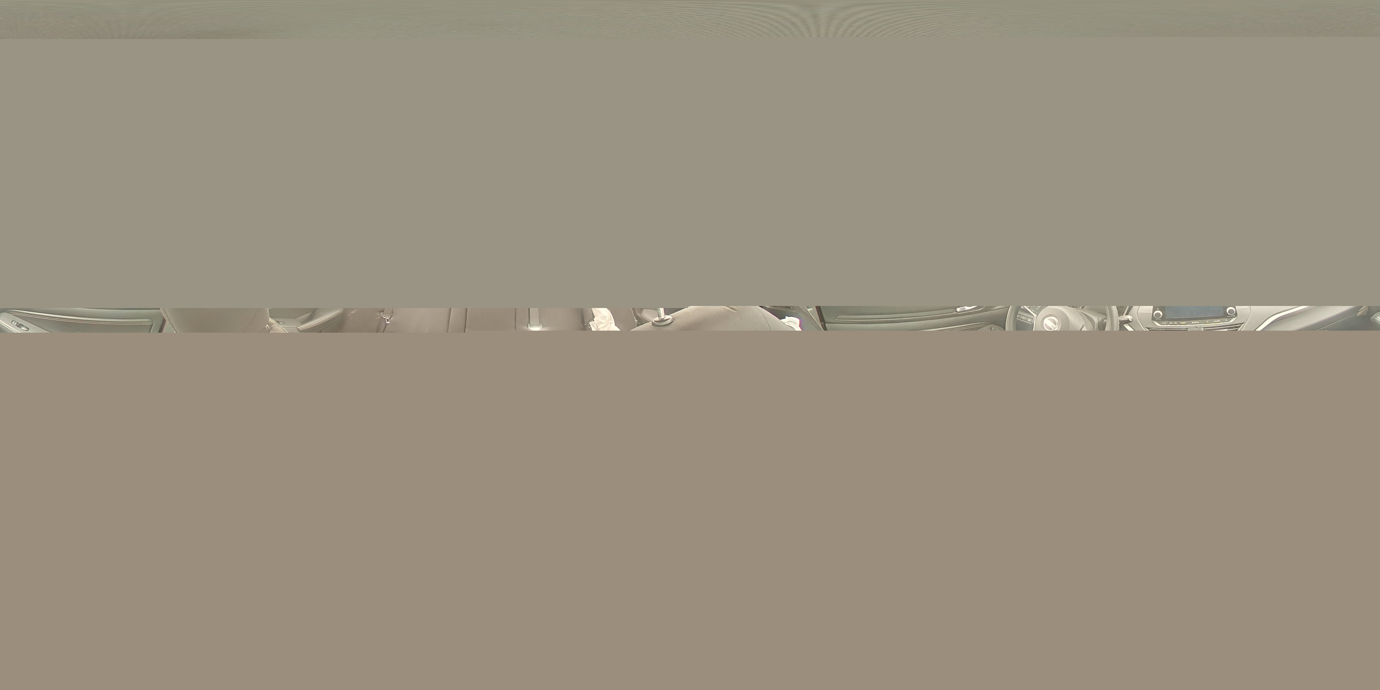 2020 Nissan Altima Platinum VIN: 1N4BL4FW4LN304318 Lot: 71303224