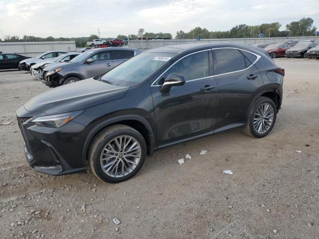 2024 Lexus Nx 350 Luxury