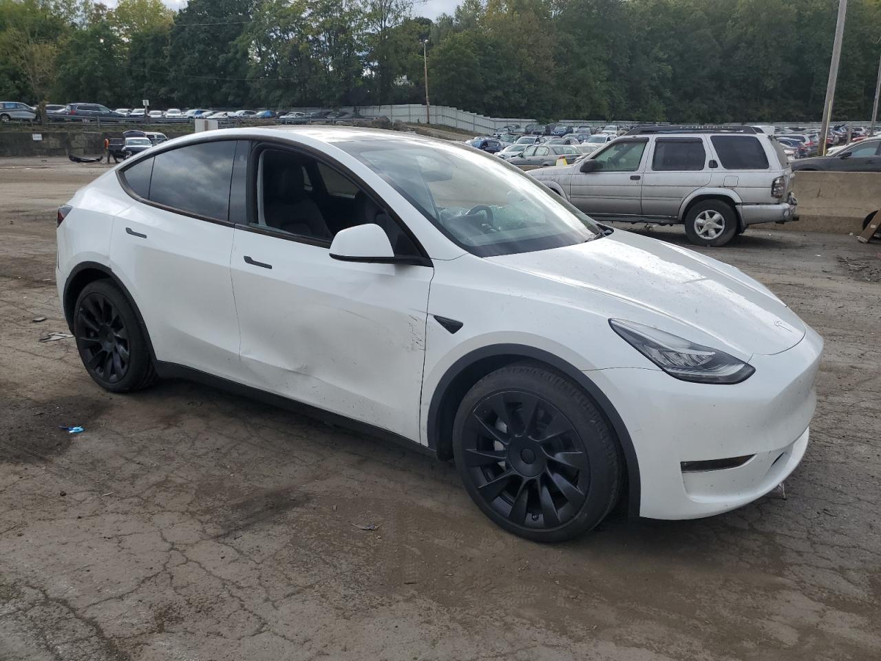 2023 Tesla Model Y VIN: 7SAYGDEE8PA057536 Lot: 72674674