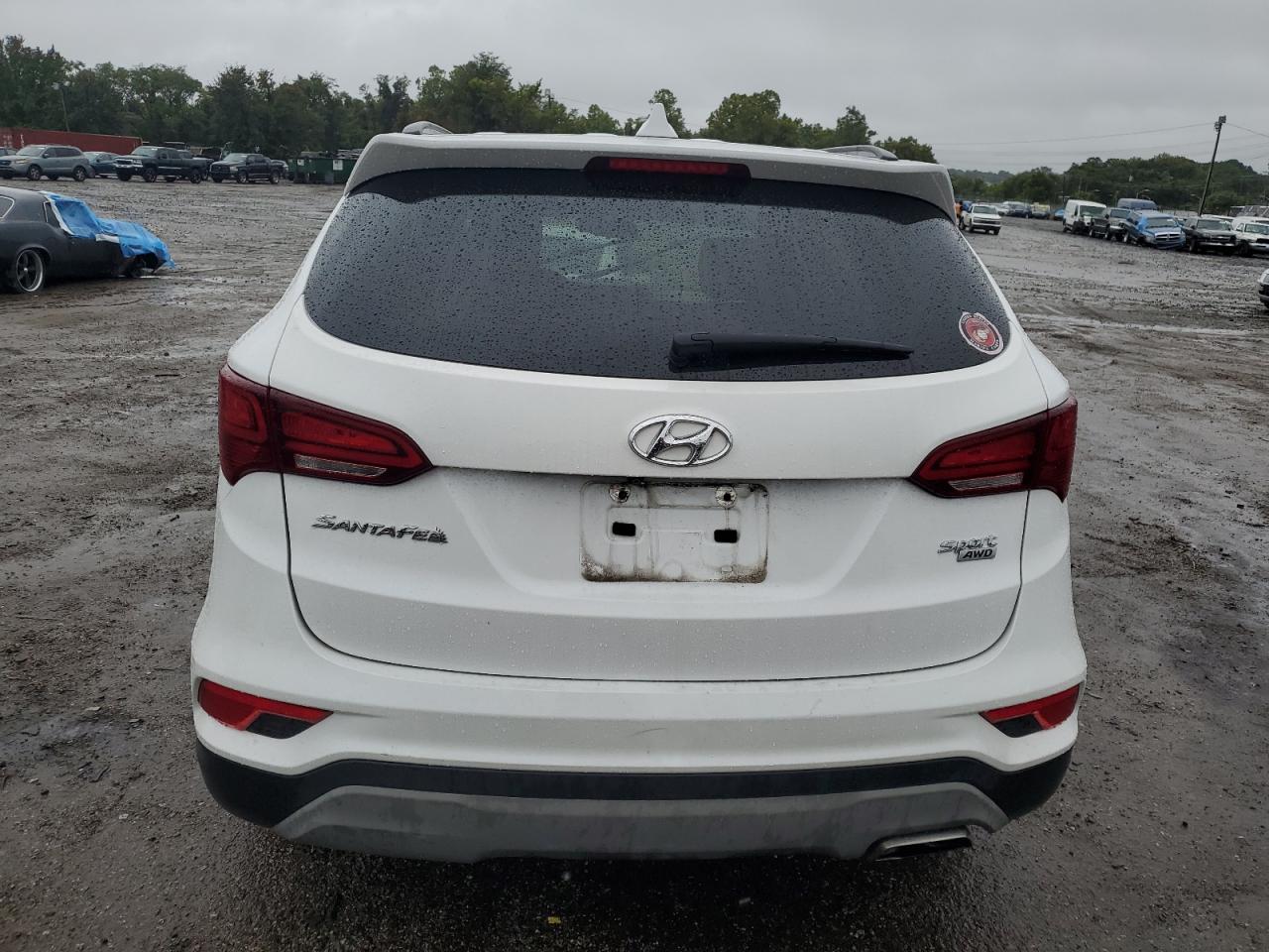 2018 Hyundai Santa Fe Sport VIN: 5NMZUDLB4JH100930 Lot: 73342894