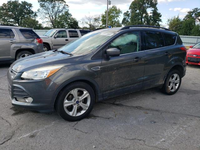 Паркетники FORD ESCAPE 2015 Сірий