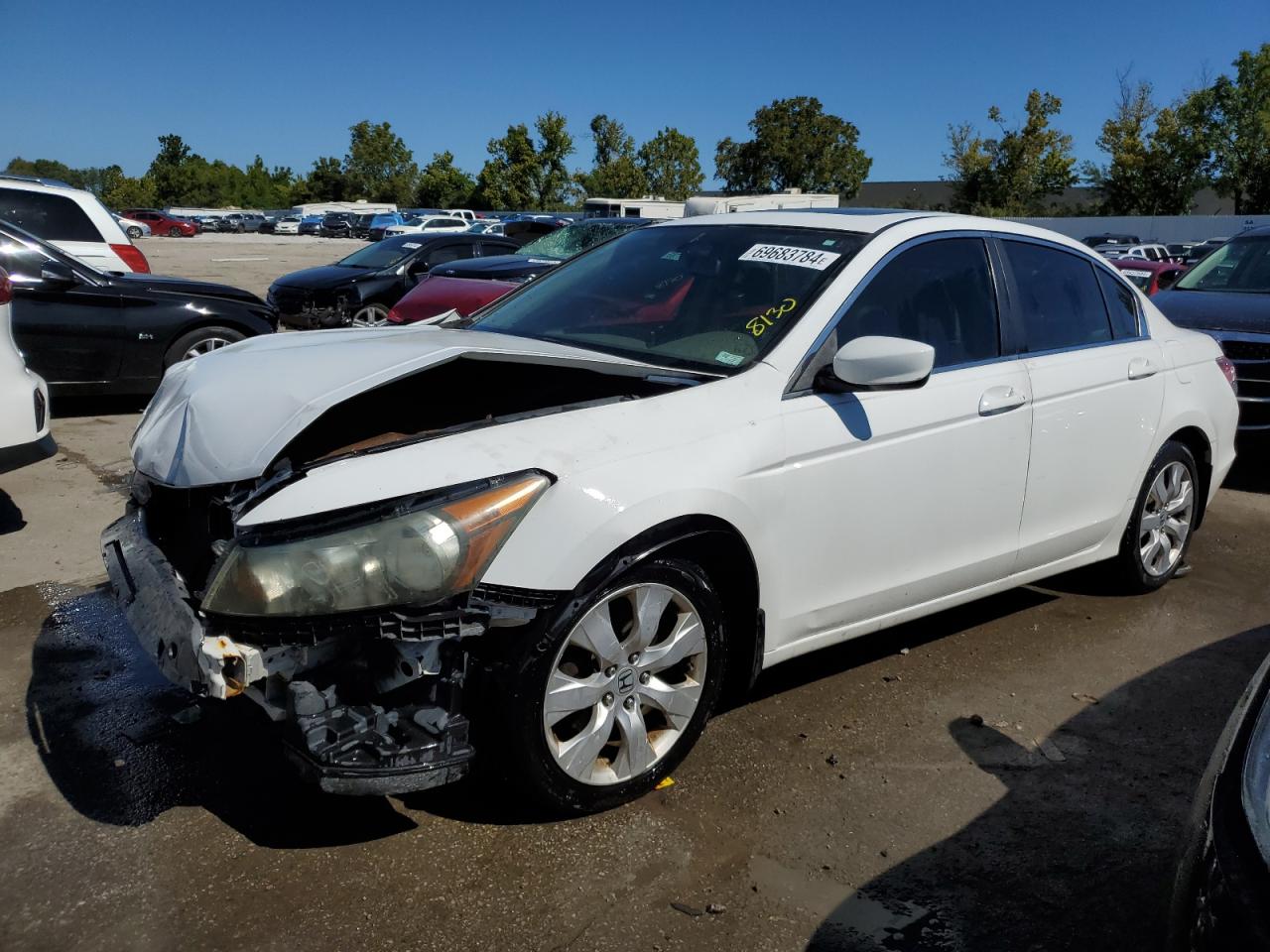 2009 Honda Accord Exl VIN: 1HGCP26899A005756 Lot: 69683784