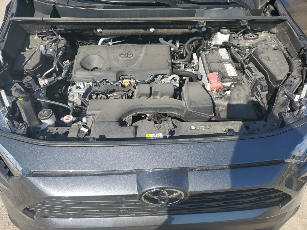 2T3P1RFVXPC347491 2023 Toyota Rav4 Xle