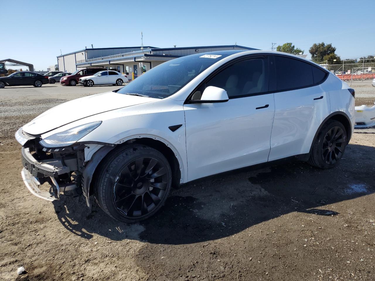 5YJYGDEE8MF249079 2021 TESLA MODEL Y - Image 1