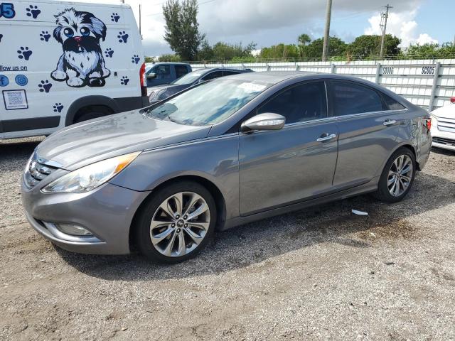 2013 Hyundai Sonata Se zu verkaufen in Miami, FL - Rear End