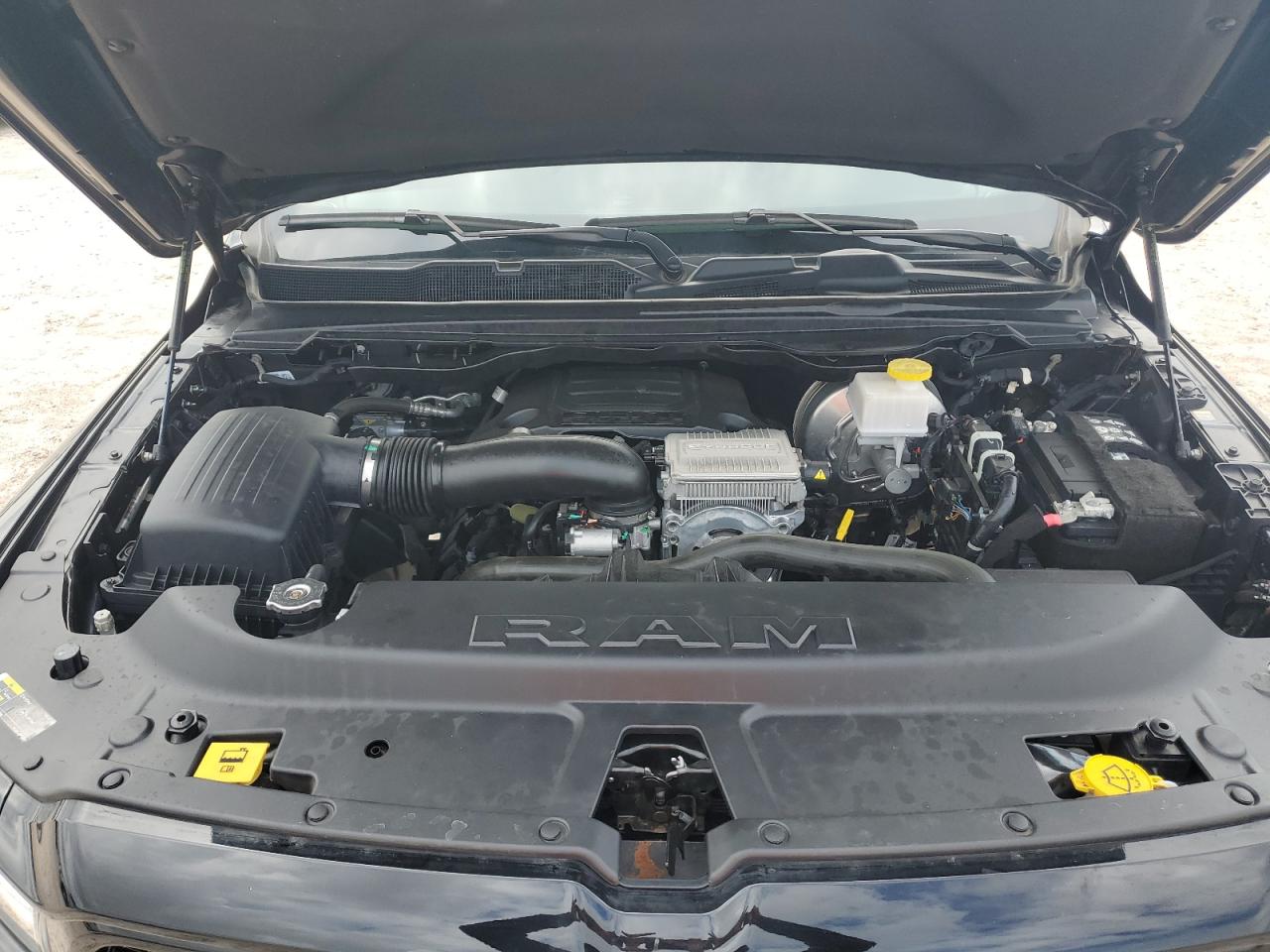 2023 Ram 1500 Big Horn/Lone Star VIN: 1C6RREBT9PN516380 Lot: 70188694