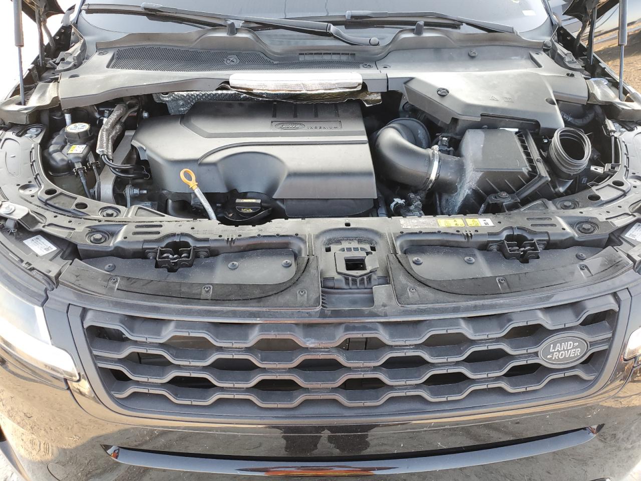 2020 Land Rover Range Rover Evoque S VIN: SALZJ2FX7LH007773 Lot: 70439934