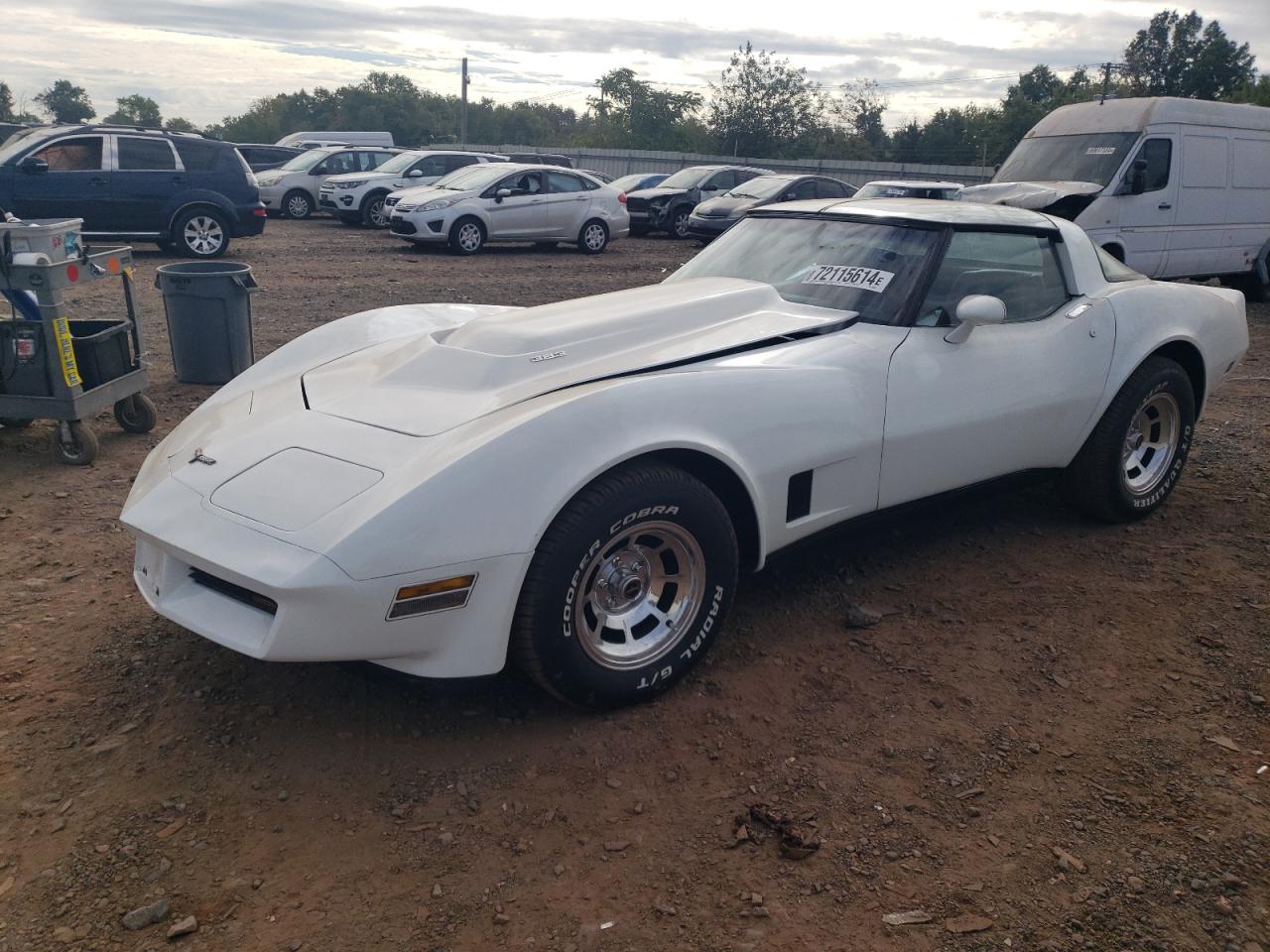 1981 Chevrolet Corvette VIN: 1G1AY8769BS428669 Lot: 72115614