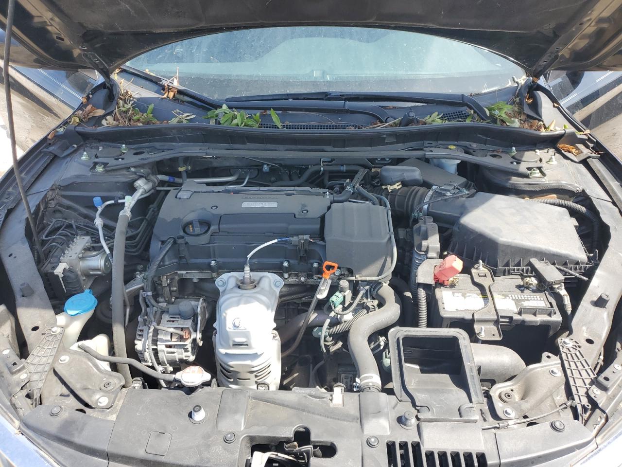 2017 Honda Accord - Image 11