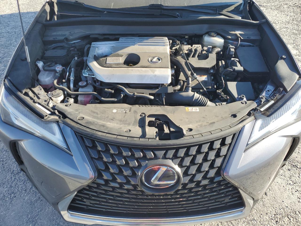 2020 Lexus Ux 250H VIN: JTHP9JBH6L2023125 Lot: 73019944