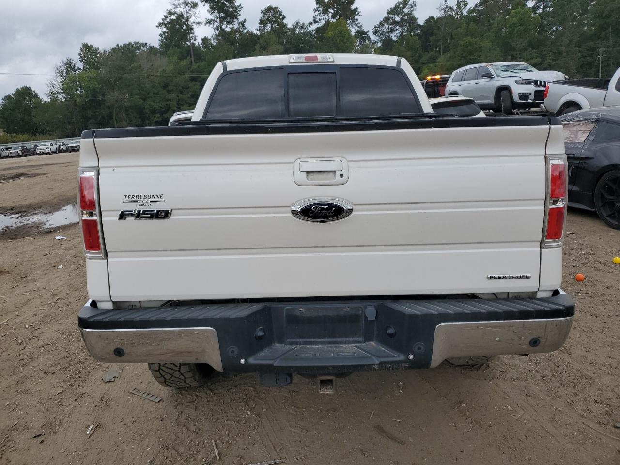 1FTFW1EF2DFD93515 2013 Ford F150 Supercrew