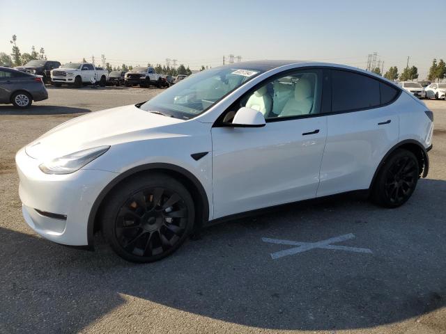 5YJYGDEE9MF231125 Tesla Model Y 