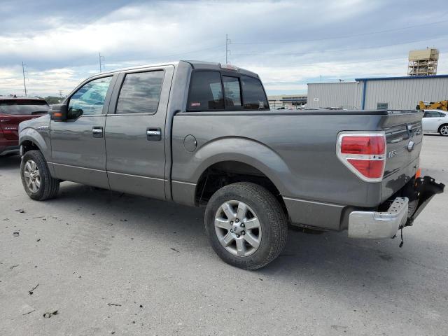 Пикапы FORD F-150 2014 Серый