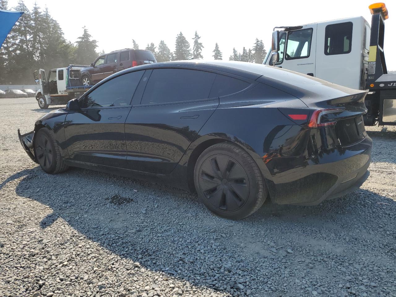 5YJ3E1EB7RF757006 2024 TESLA MODEL 3 - Image 2