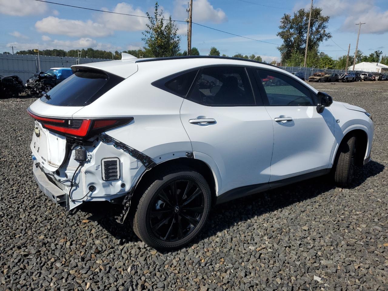 VIN JTJKGCEZ0R2013925 2024 LEXUS NX 350 LUX no.3