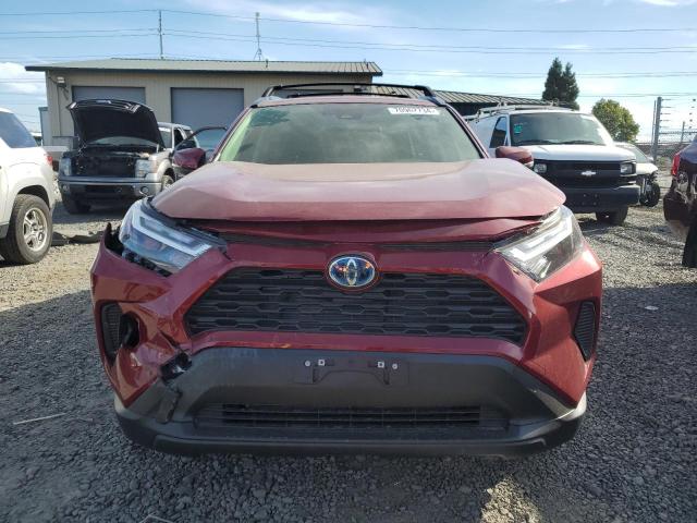  TOYOTA RAV4 2024 Red