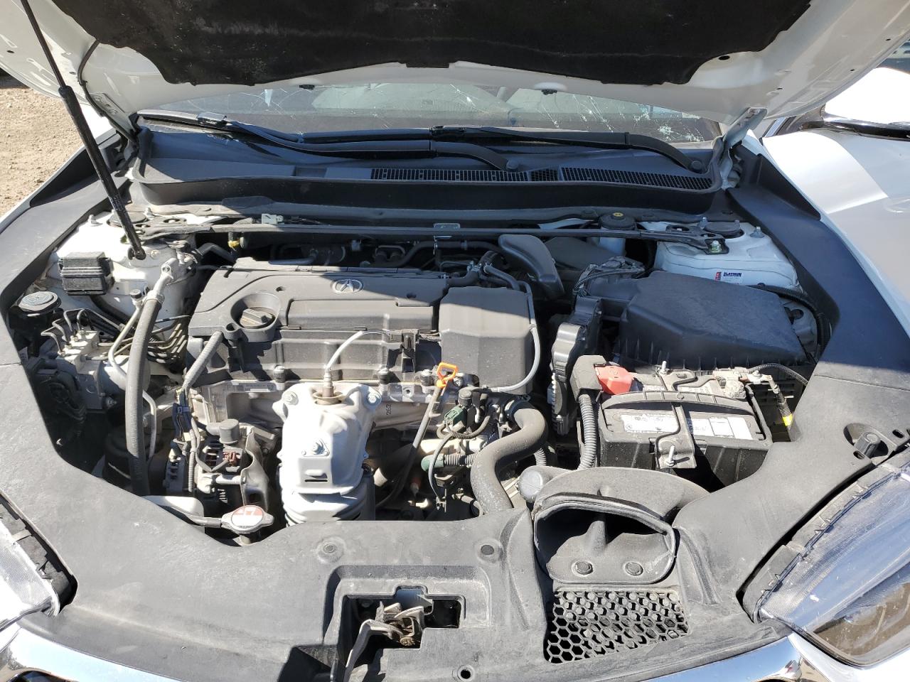 19UUB1F52JA800719 2018 Acura Tlx Tech