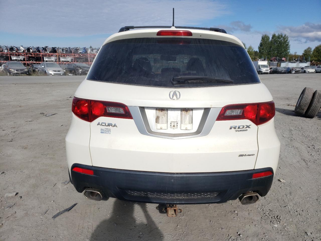 2010 Acura Rdx VIN: 5J8TB1H29AA800425 Lot: 64388534