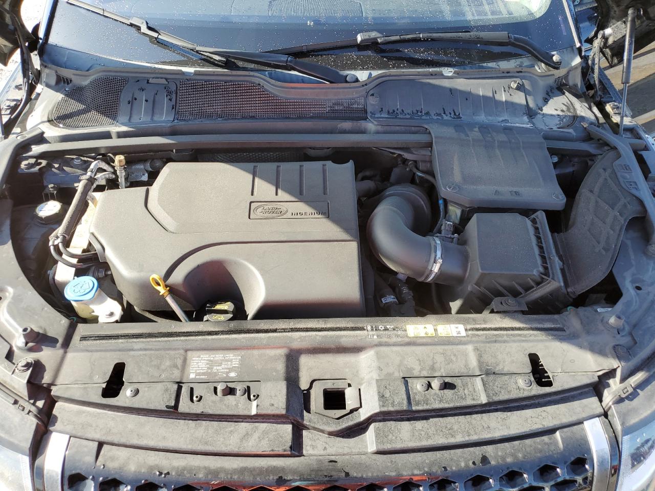 2019 Land Rover Range Rover Evoque Se VIN: SALVP2RX7KH349876 Lot: 70534334