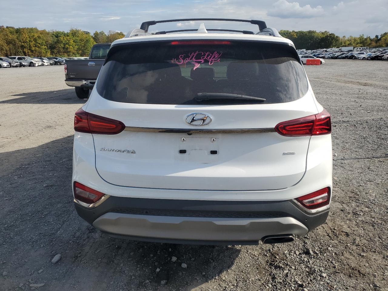 5NMS5CADXLH299871 2020 Hyundai Santa Fe Limited