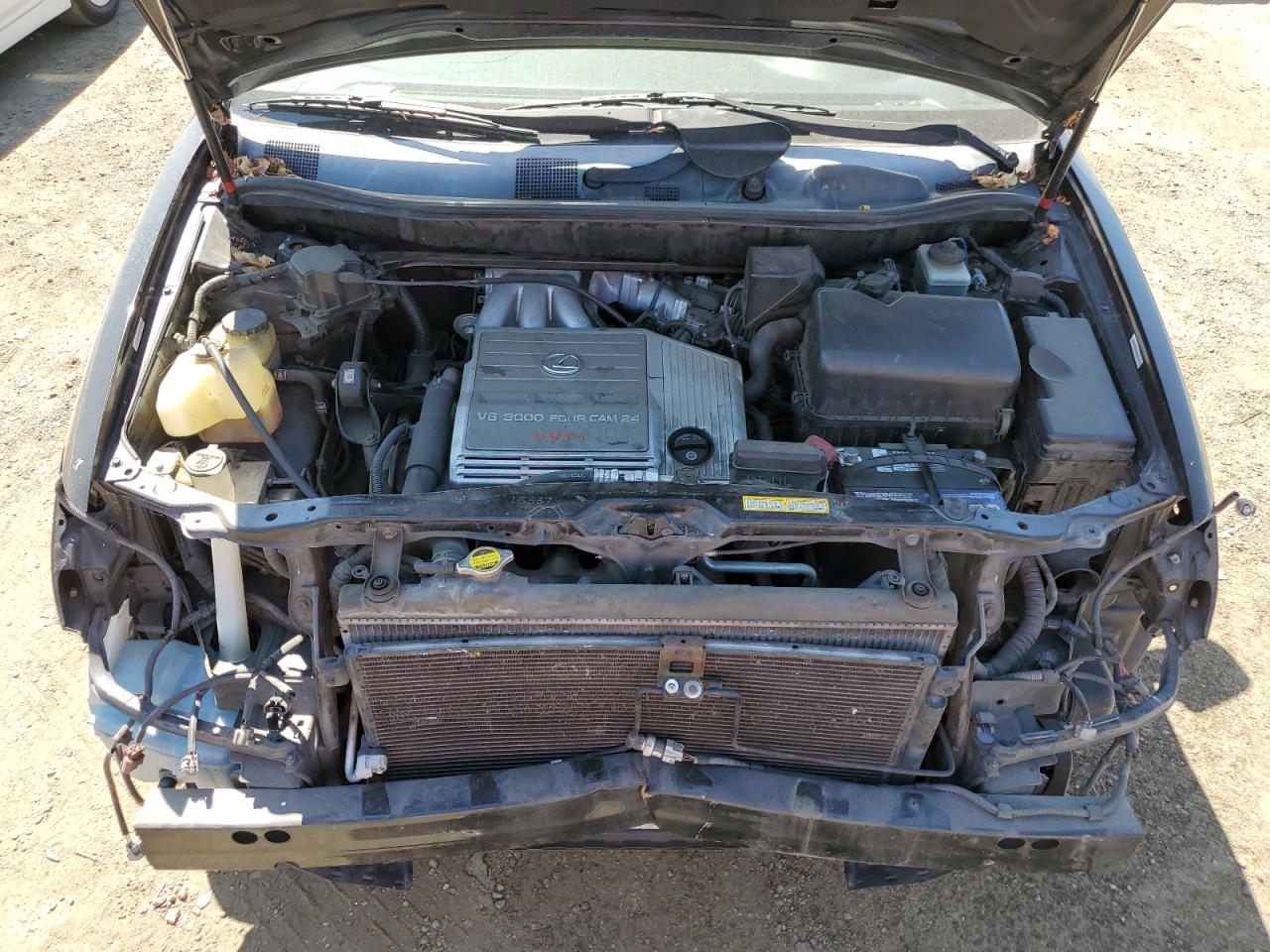 1999 Lexus RX - Image 12