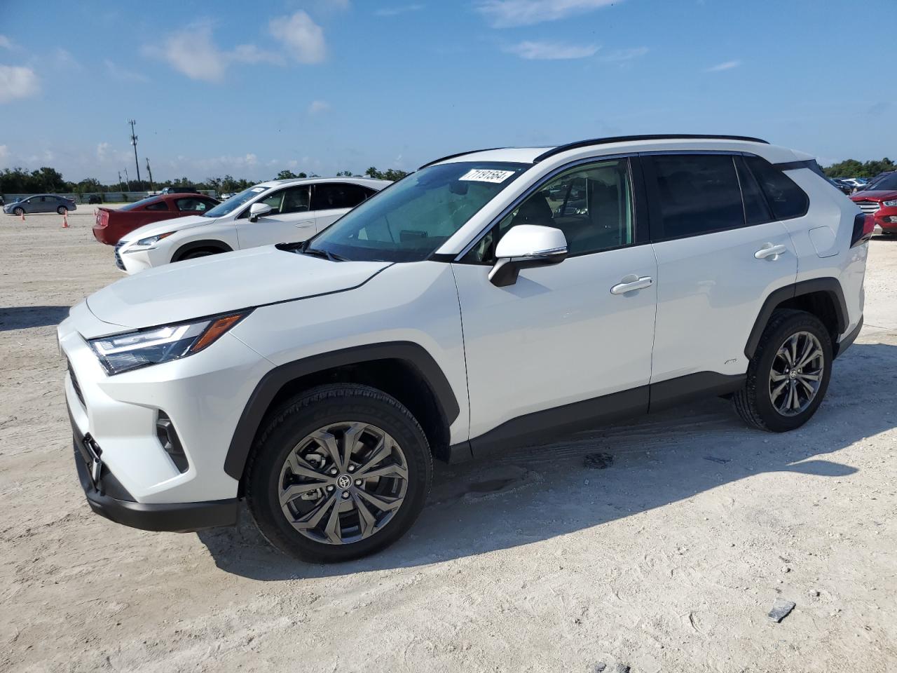 2024 Toyota RAV 4 - Image 1