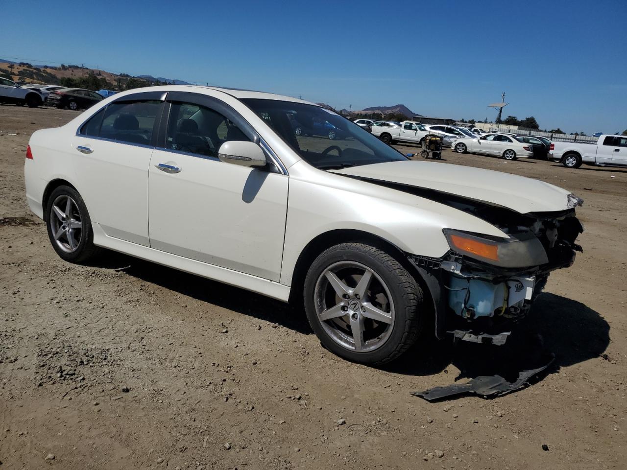 2007 Acura Tsx VIN: JH4CL96887C005198 Lot: 70790984