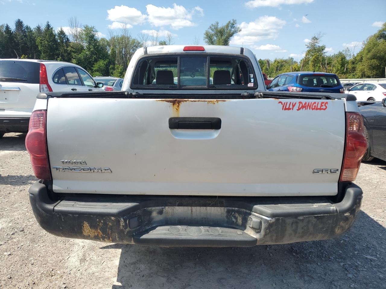 5TETX22N16Z211987 2006 Toyota Tacoma Access Cab