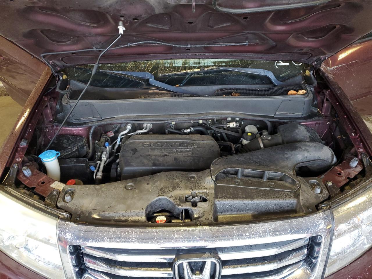 5FNYF3H52EB028894 2014 Honda Pilot Exl