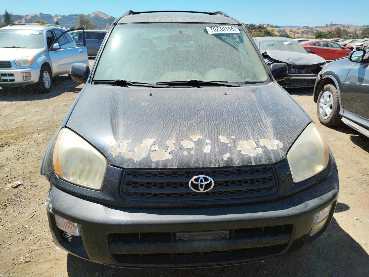 2002 Toyota Rav4 VIN: JTEHH20V020130992 Lot: 70230144