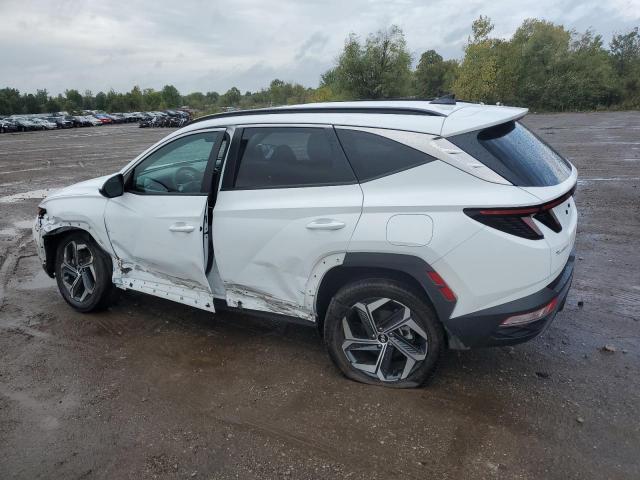 5NMJFCAE9PH267033 Hyundai Tucson SEL 2