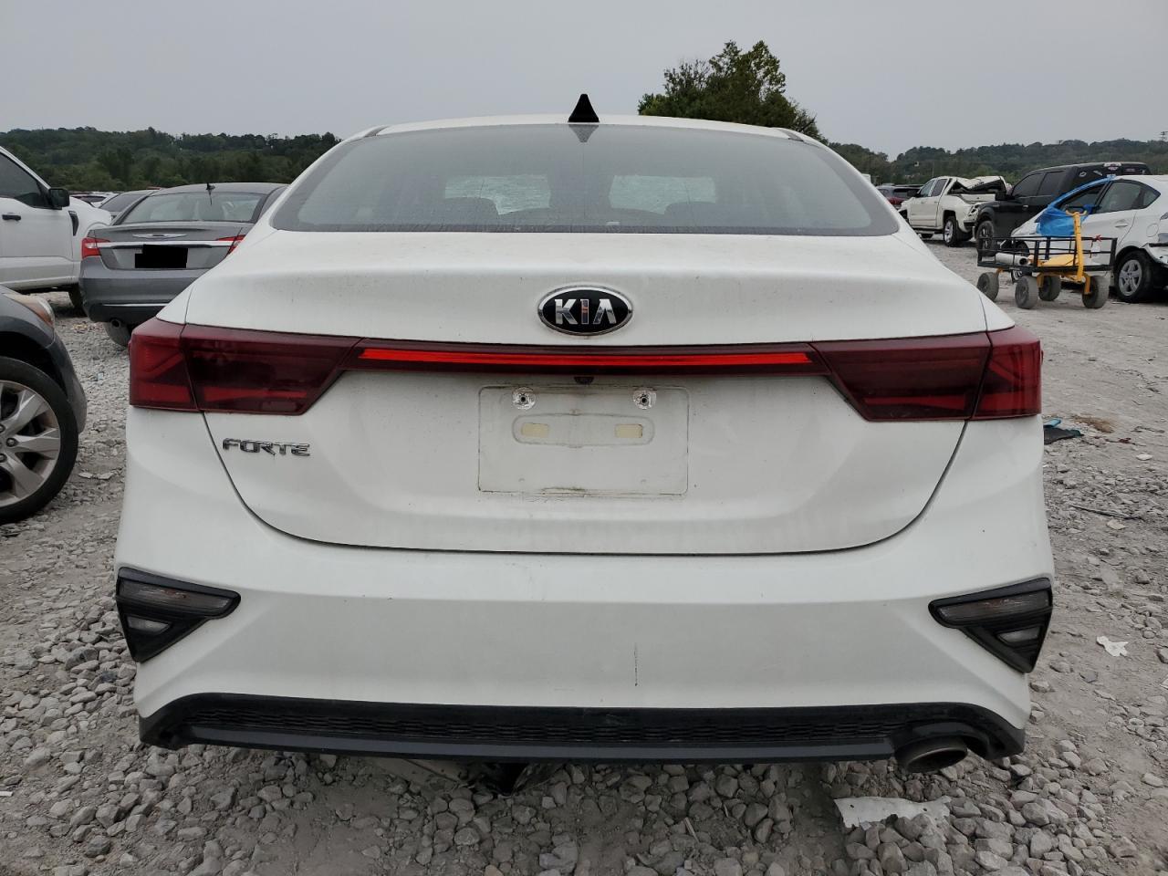 2020 Kia Forte Fe VIN: 3KPF24AD5LE233980 Lot: 70997344