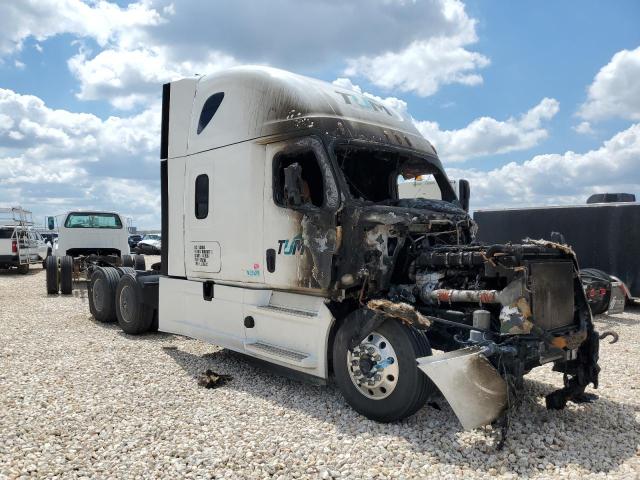 2020 Freightliner Cascadia 126 