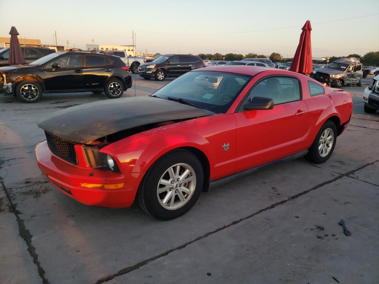 2009 Ford Mustang VIN: 1ZVHT80N895122641 Lot: 72451304