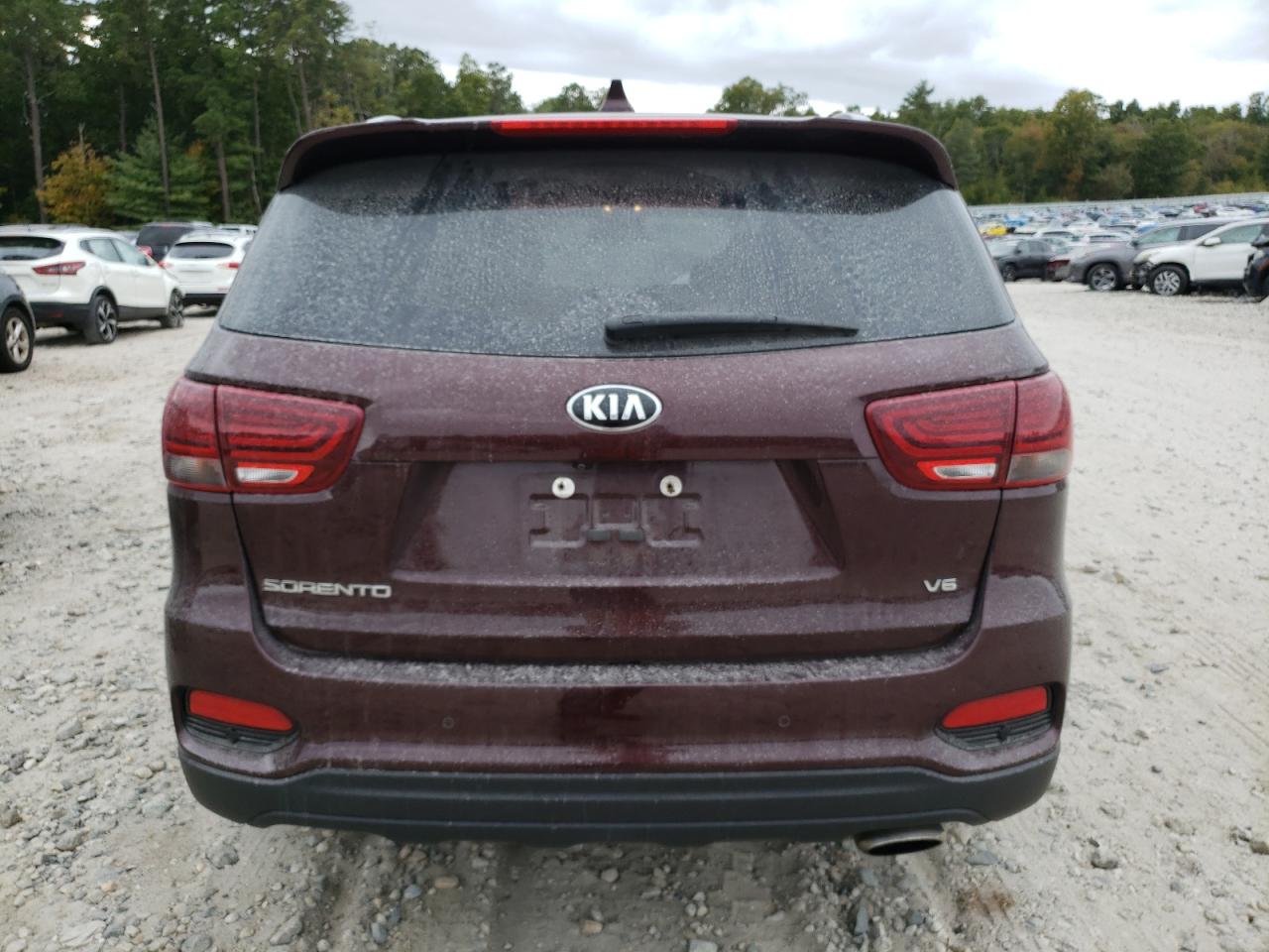 2019 Kia Sorento Lx VIN: 5XYPGDA55KG445536 Lot: 71666324