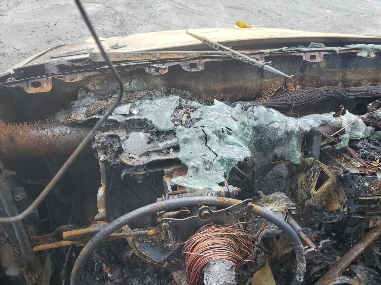 1997 Toyota Tacoma Xtracab VIN: 4TAWM72N5VZ300387 Lot: 72960084