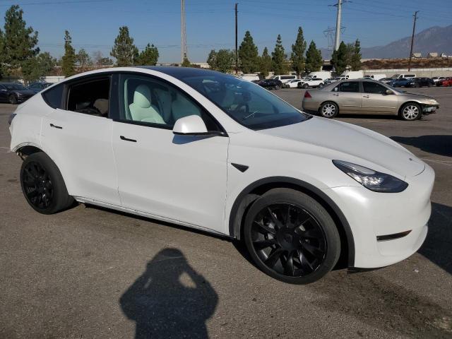 5YJYGDEE9MF231125 Tesla Model Y  4