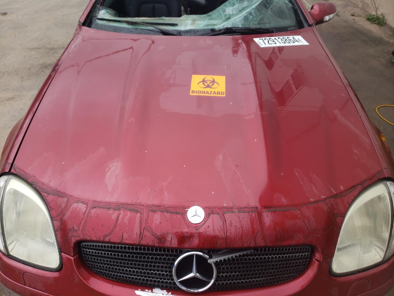 2001 Mercedes-Benz Slk 320 VIN: WDBKK65F81F195913 Lot: 72913864