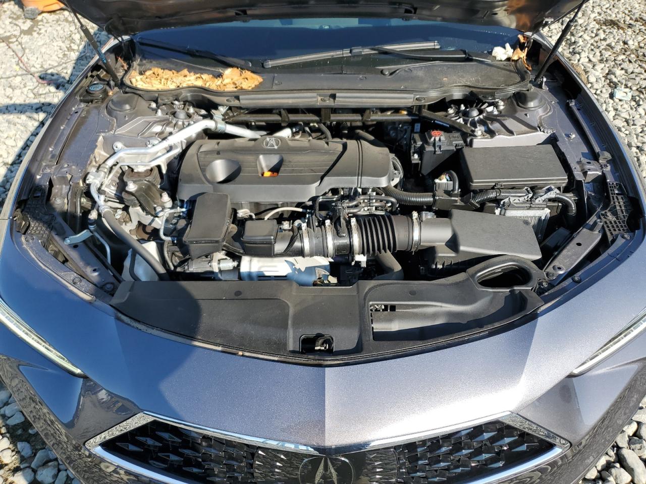 19UUB5F34PA005444 2023 Acura Tlx