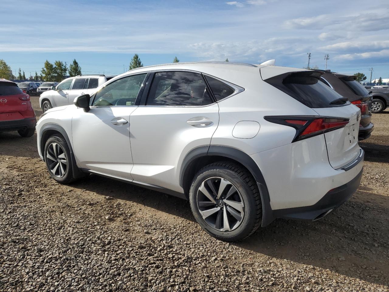 JTJBARBZ9K2201776 2019 LEXUS NX - Image 2