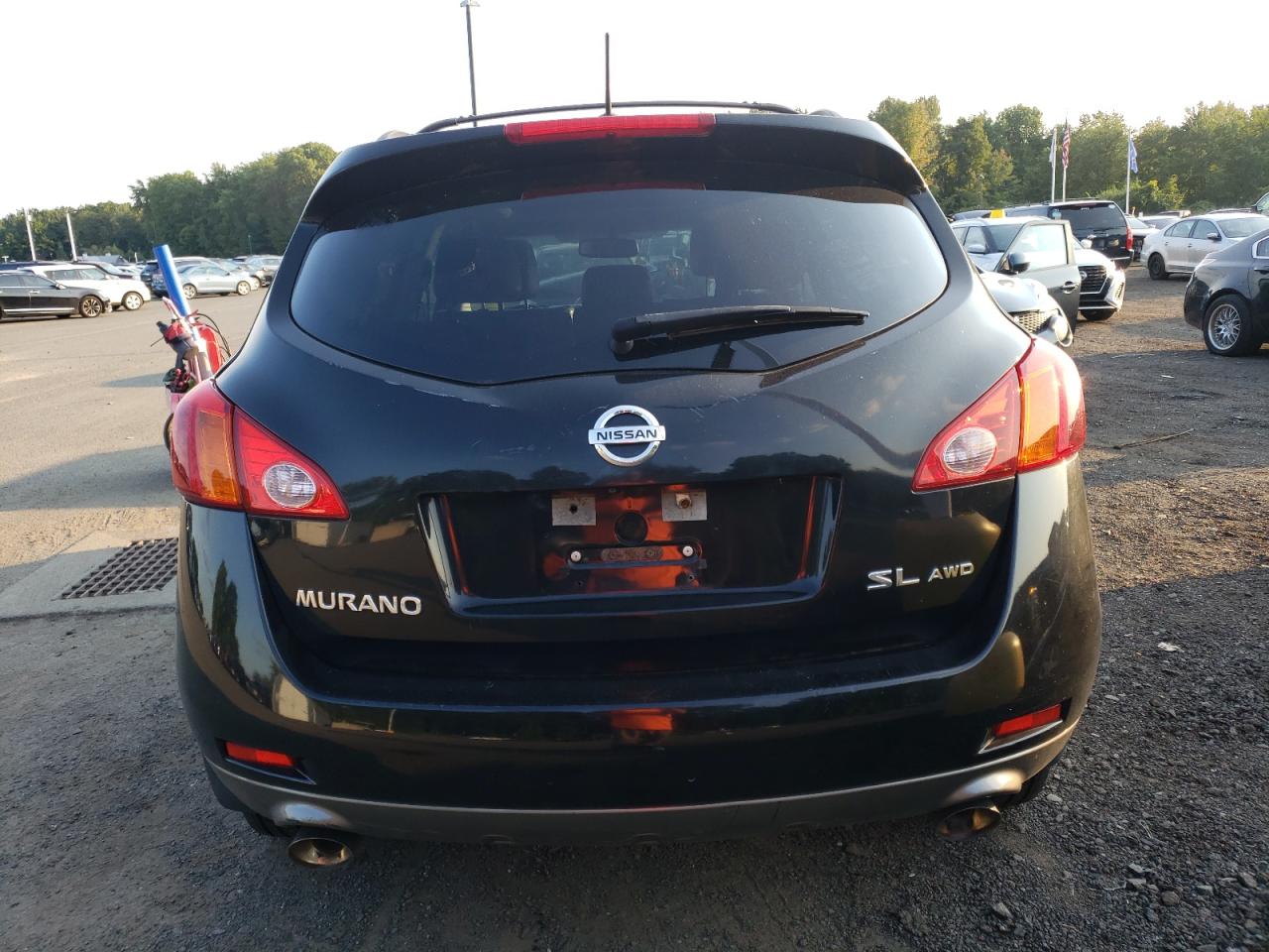 2010 Nissan Murano S VIN: JN8AZ1MW3AW113653 Lot: 70451264