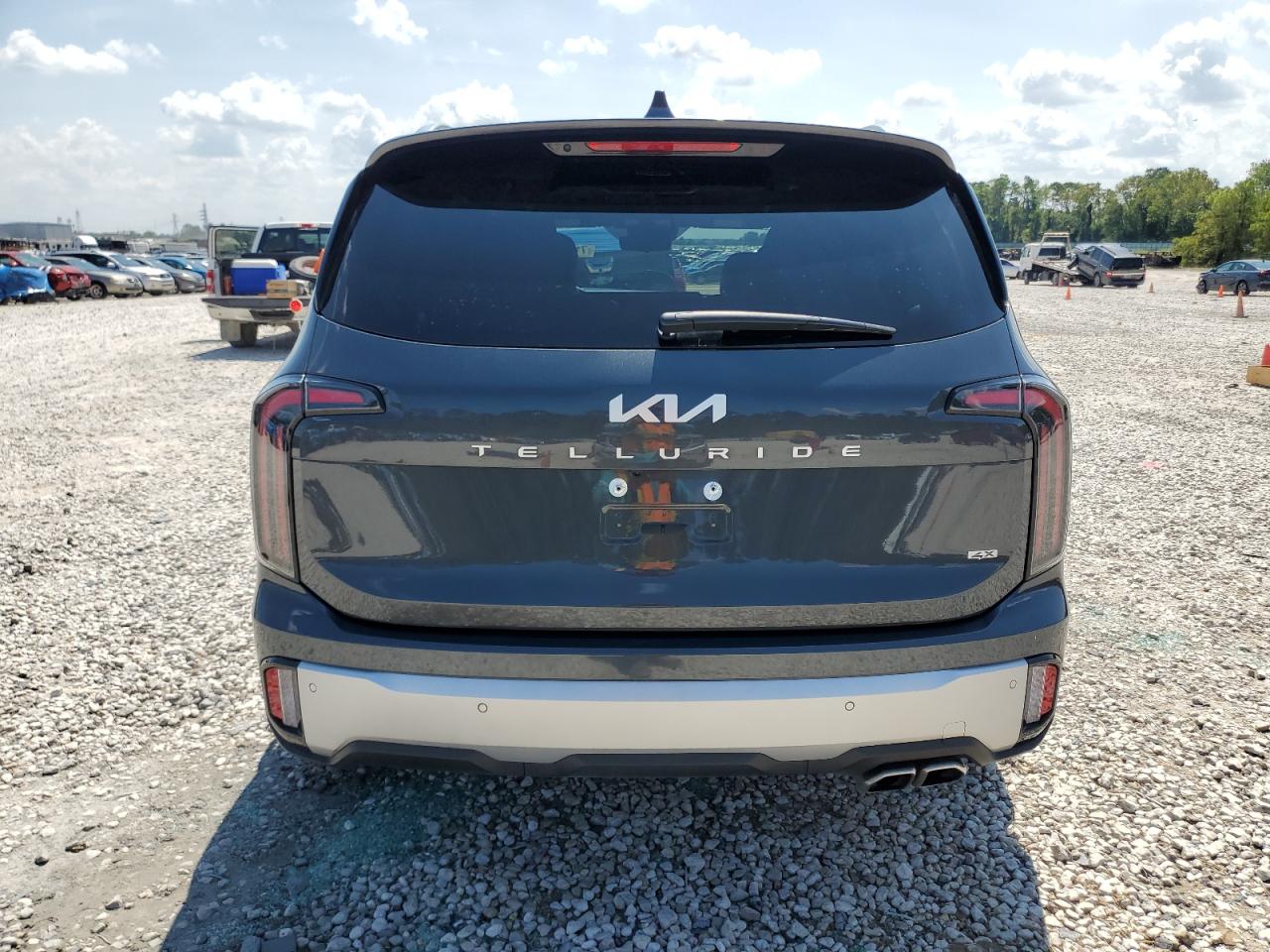 2024 Kia Telluride Sx VIN: 5XYP5DGC8RG459890 Lot: 71304884