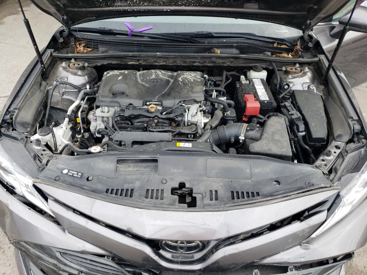 4T1B11HK0KU257667 2019 Toyota Camry L