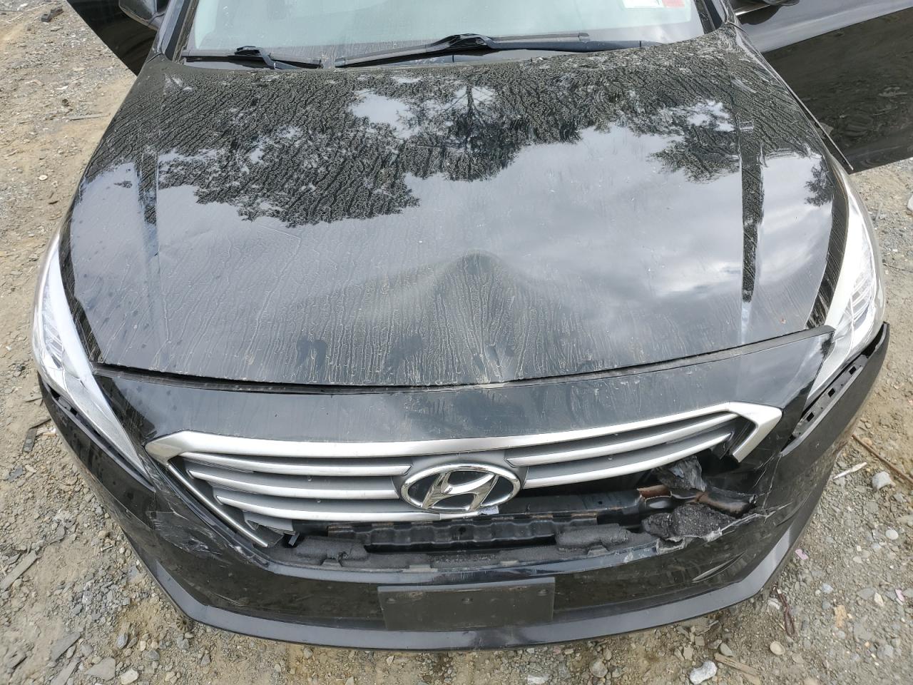 5NPE24AF9GH380589 2016 Hyundai Sonata Se