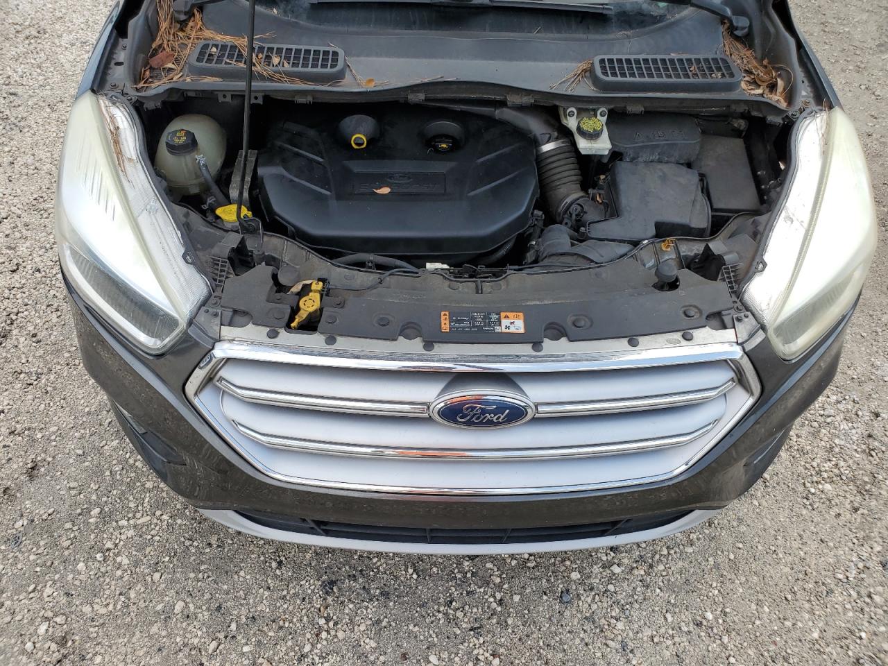 2017 Ford Escape Se VIN: 1FMCU0G97HUC53032 Lot: 72152674