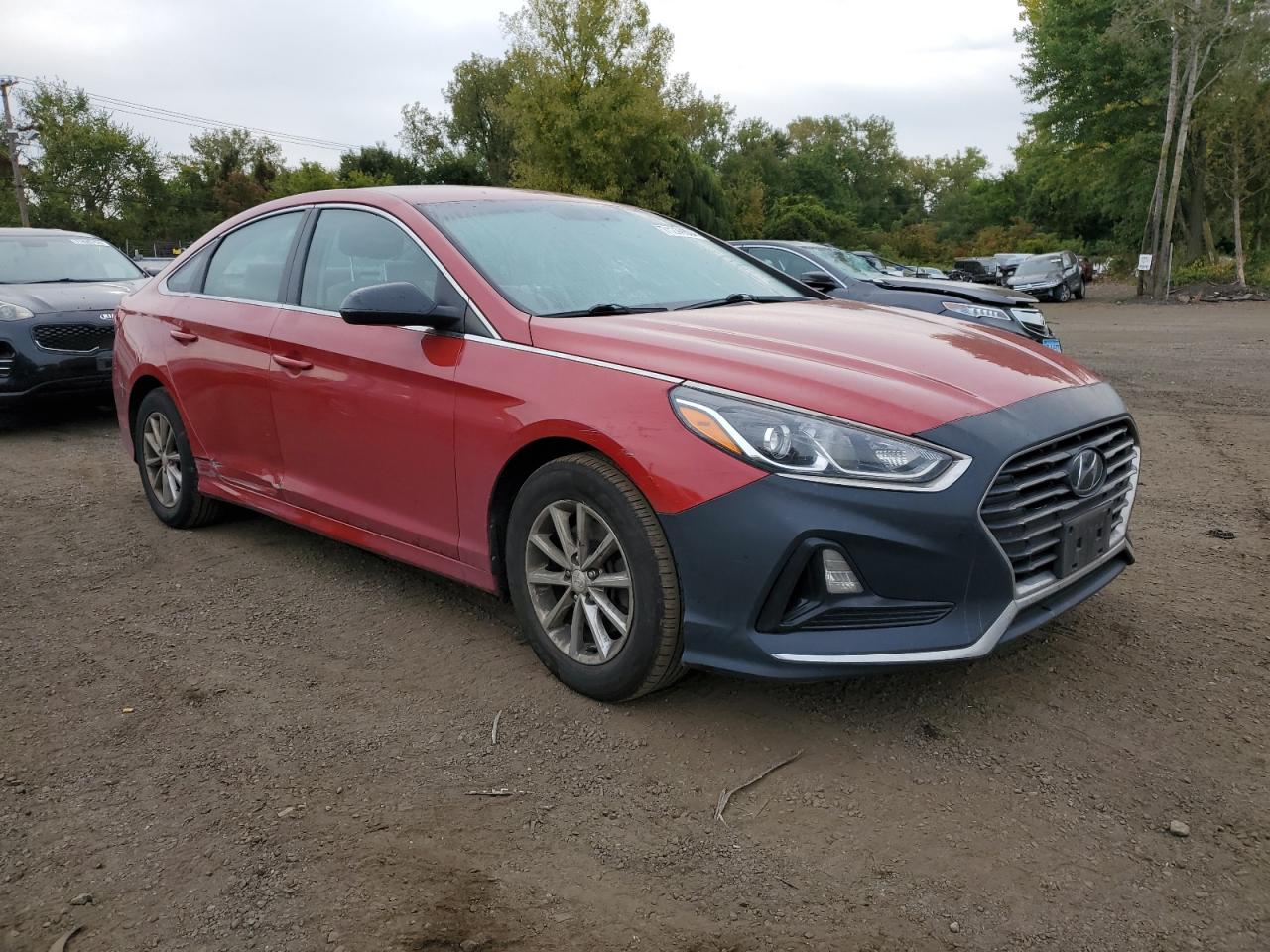 2019 Hyundai Sonata - Image 4