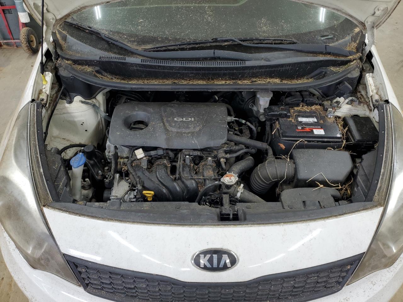 KNADM4A36G6682084 2016 Kia Rio Lx