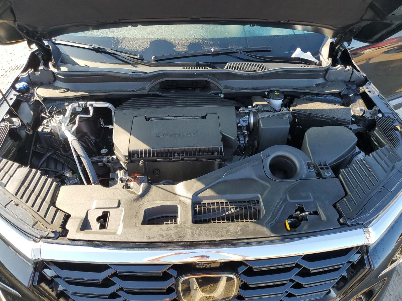5FNYG1H83RB033569 2024 Honda Pilot Elite